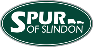 Spur of Slindon